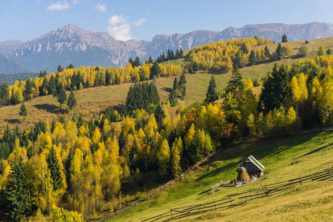 One Day Tour to Bran Castle and Hiking in Piatra Craiului National Park - Zarnesti Gorges Trekking