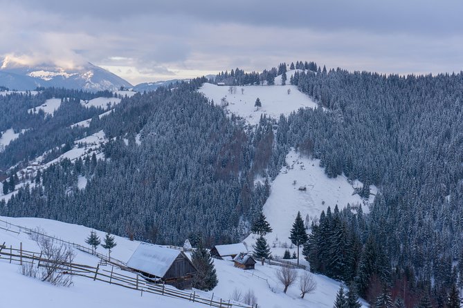 One Day Tour to Bran Castle and Hiking in Piatra Craiului National Park - Curmatura Alpine Hut