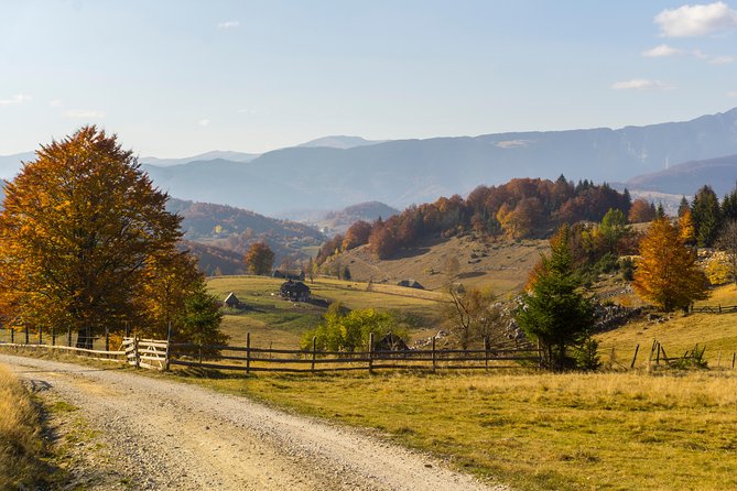 One Day Tour to Bran Castle and Hiking in Piatra Craiului National Park - Inclusions and Pricing