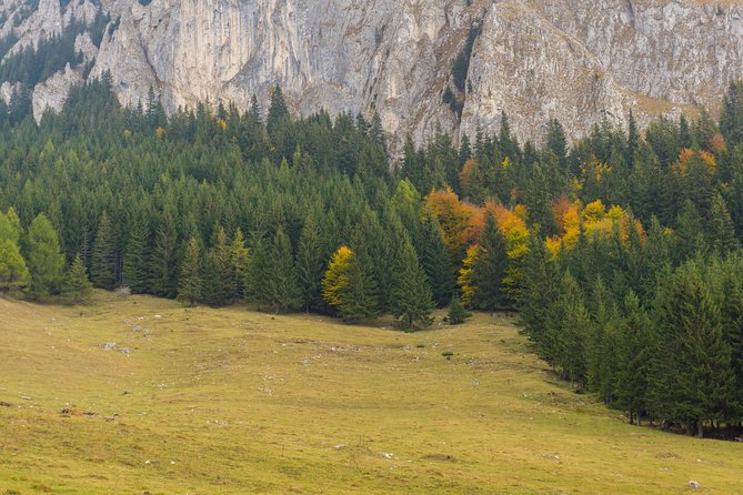 One Day Tour to Bran Castle and Hiking in Piatra Craiului National Park - Important Considerations