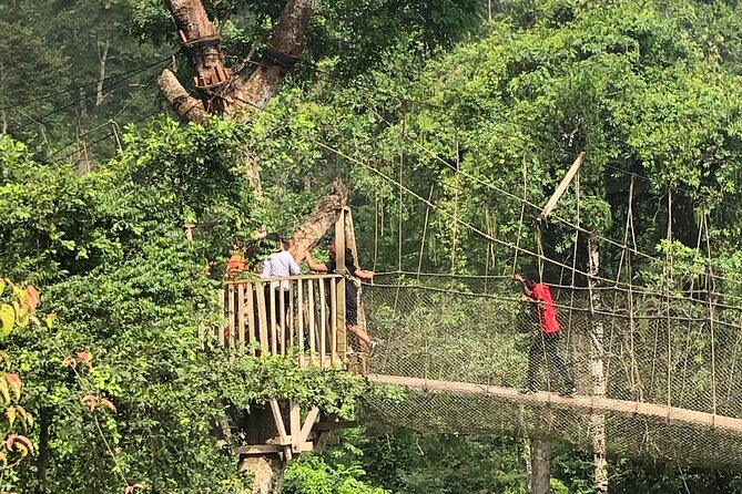 One Day Tour To Cape Coast, Elmina Castle, Kakum National Park - Trekking Kakum National Park