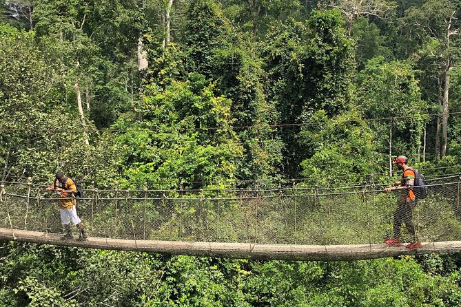 One Day Tour To Cape Coast, Elmina Castle, Kakum National Park - Transportation and Accommodation
