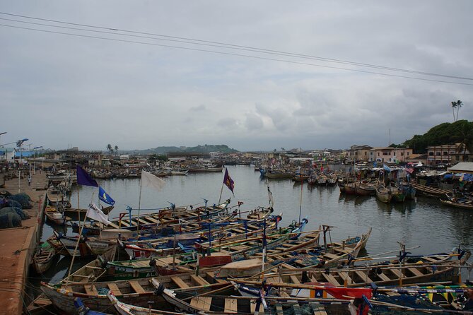 One Day Tour To Cape Coast, Elmina Castle, Kakum National Park - Testimonials and Reviews