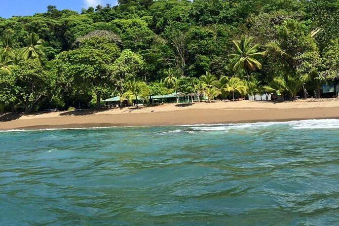 One Day Tour To Corcovado From Sierpe - Important Information