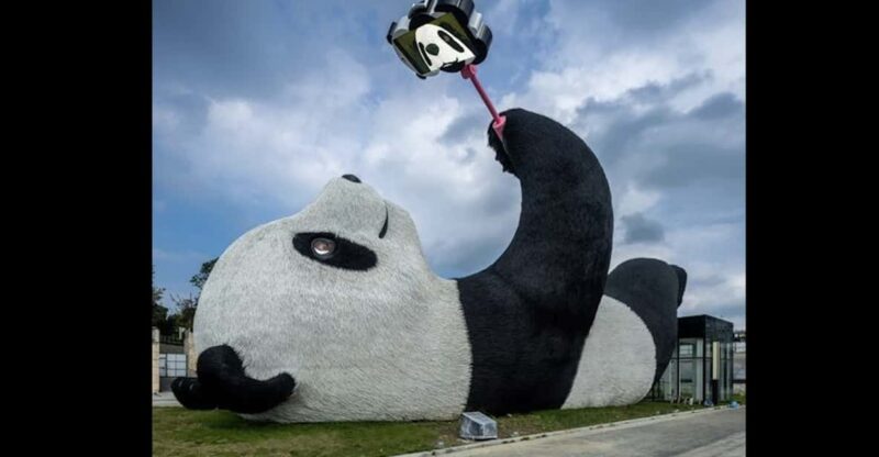 One-Day Tour to Dujiangyan Panda Valley. - Key Points