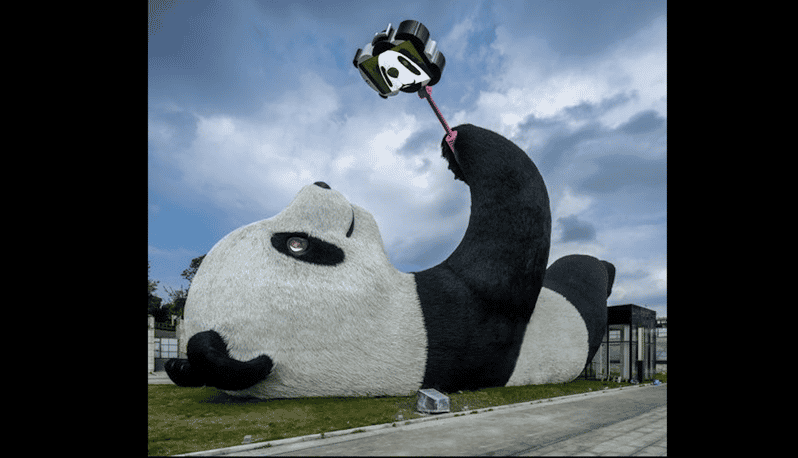 One-Day Tour to Dujiangyan Panda Valley. - Itinerary