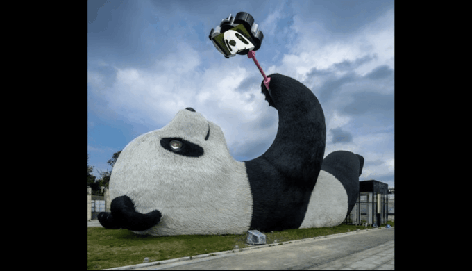 One-Day Tour to Dujiangyan Panda Valley. - Transportation and Admission