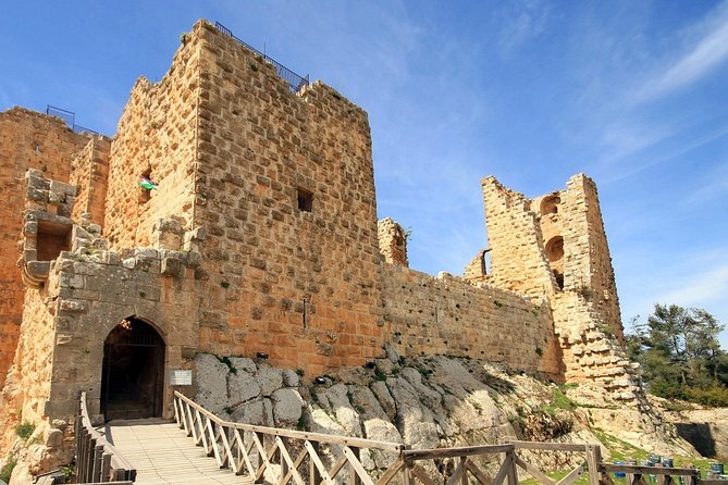 One Day Tour to Jerash and Ajloun Castle From Dead Sea - Tour Highlights