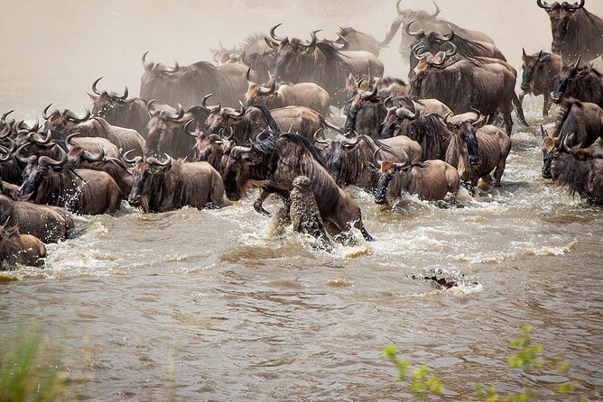 One Day Tour to Maasai Mara Game Reserve From Nairobi - Ecosystem Insights