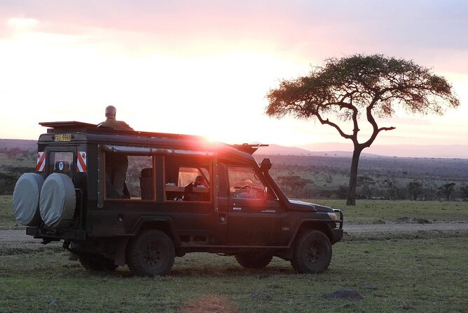 One Day Tour to Maasai Mara Game Reserve From Nairobi - Flexible Itinerary