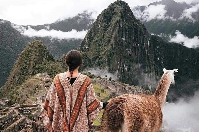 One Day Tour to Machu Picchu Private Service - Service Quality and Comfort