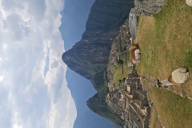 One Day Tour to Machu Picchu Private Service - Inca History and Architecture