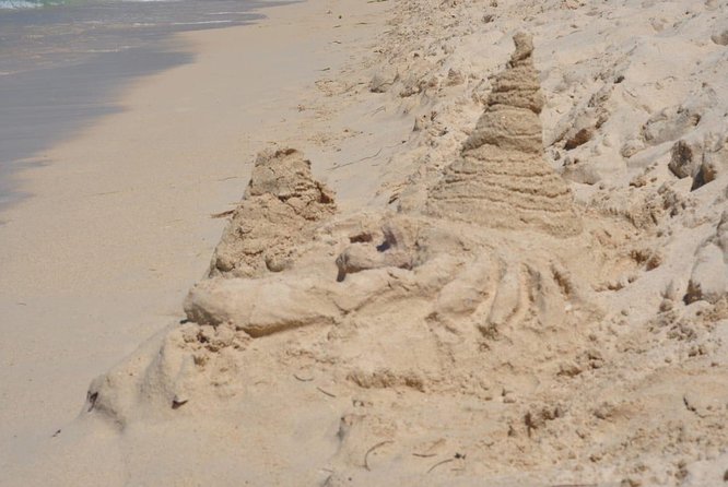One-Day Tour to Playa Blanca by Land Popular Sector - Inclusions and Schedule