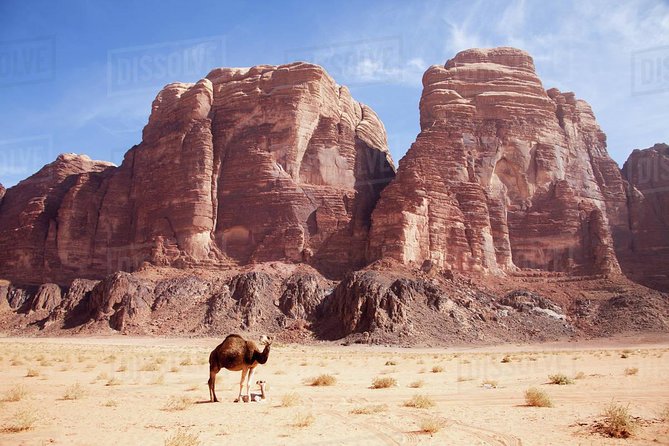 One Day Tour Wadi Rum - Exploration of the Landscape