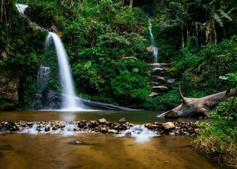 One Day Trekking at Doi Suthep and Monthathan Waterfall - Doi Suthep Trek Experience