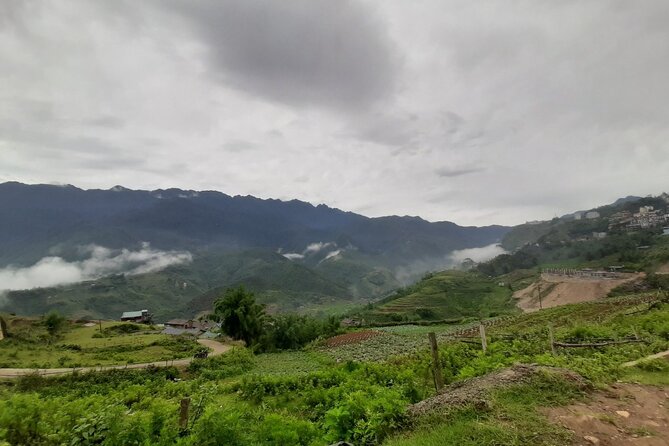 One Day Trekking in Sapa and Muong Hoa Valley With Local Guide - Local Guides and Culture