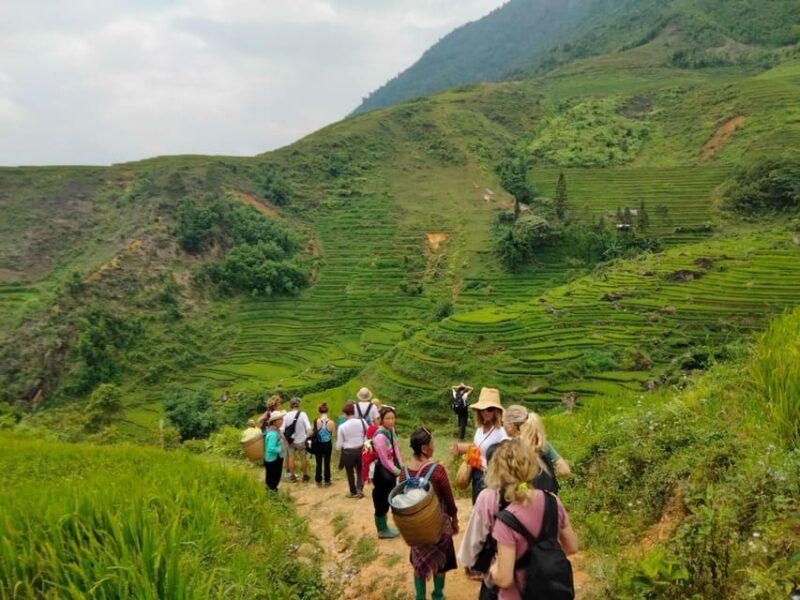 ONE DAY TREKKING MUONG HOA VALLEY - Key Points
