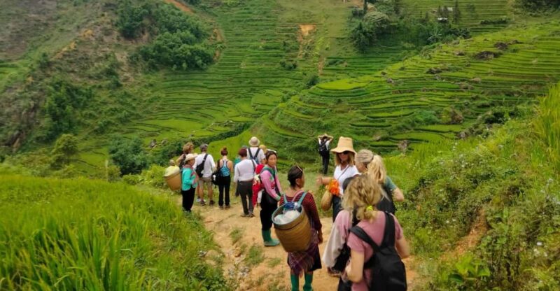 ONE DAY TREKKING MUONG HOA VALLEY - Cultural Experience