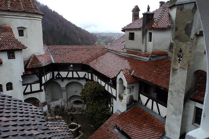 One Day Trip Bear Sanctuary, Dracula Castle, Rasnov Fortress From Brasov - Customizable Itinerary Options