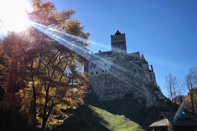One Day Trip Bear Sanctuary, Dracula Castle, Rasnov Fortress From Brasov - Tour Capacity and Duration