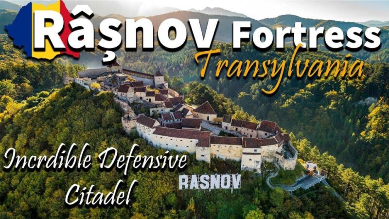 One Day Trip Bear Sanctuary, Dracula Castle, Rasnov Fortress - Pricing and Booking