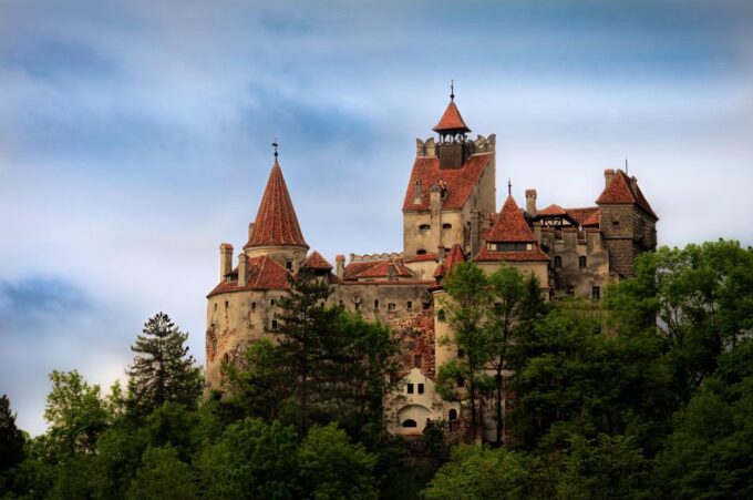 One Day Trip Bear Sanctuary, Dracula Castle - Reviews and Ratings