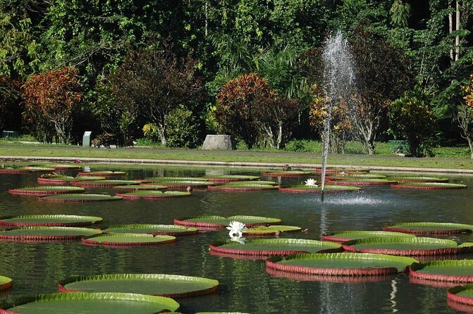 One Day Trip : Bogor Highland Waterfall Tour With Lunch - Pura Parahyangan Agung Jagatkarta