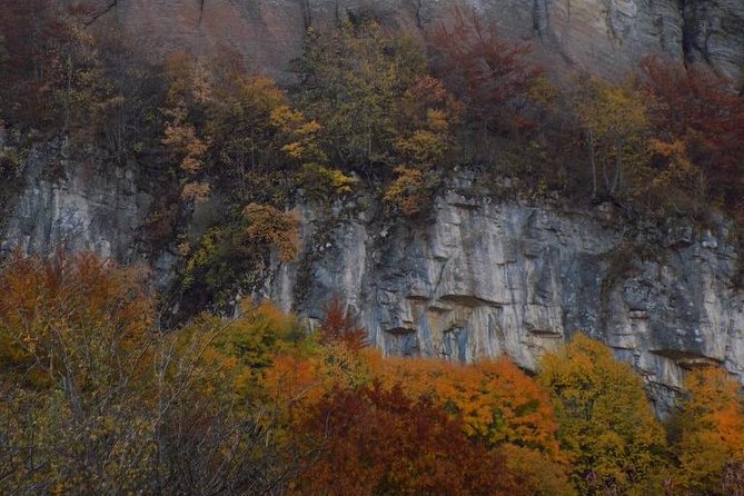 One Day Trip From Sofia: a Walking Over the Jurassic Sea - Hotel Pickup and Drop-off