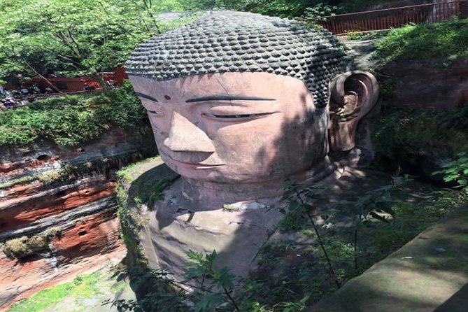 One Day Trip to Chengdu Panda Base and Leshan Buddha Tour - Transportation and Logistics