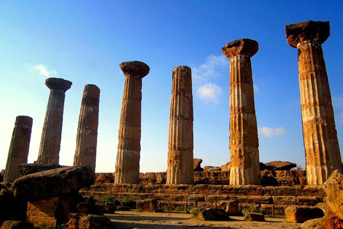 One Day Trip to Jerash & Ajloun Castle - Highlights of the Day