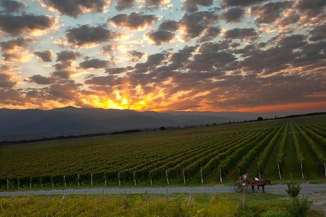One-Day Trip to Kakheti (Wine Tour) - Key Points