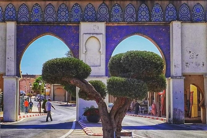 One Day Trip to Volubilis and Meknes From Fes - Pricing and Cancellation