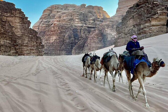 One Day Wadi Rum From Aqaba - Positive Guest Experiences