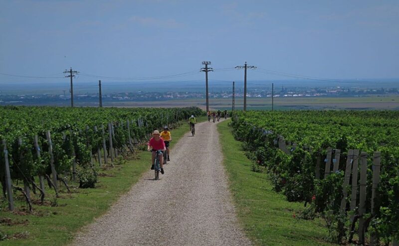 One Day Wine Route by Bike - Key Points