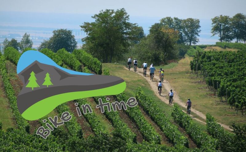 One Day Wine Route by Bike - Included Services