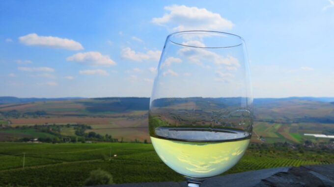 One Day Wine Route by Bike - Meeting Point and Assistance