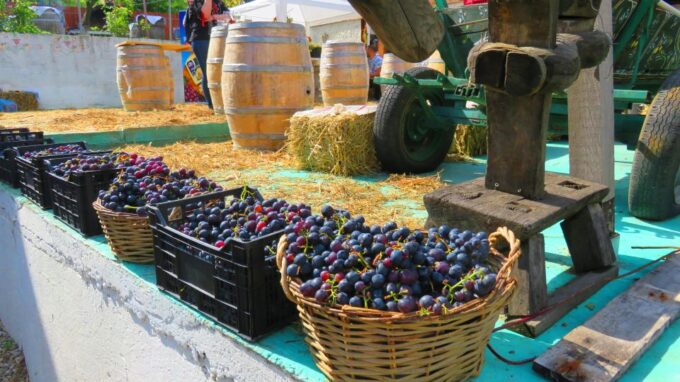 One Day Wine Route by Bike - Free Cancellation and Weather Conditions