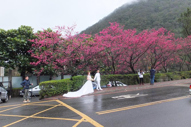 One-day Yangmingshan NP Beitou Hot Spring Park and Tamsui Tour Package - Good To Know