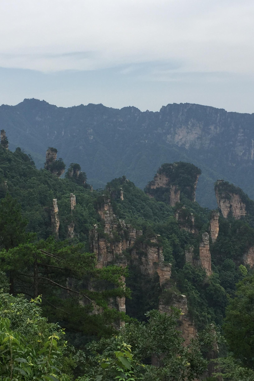 One Day Zhangjiajie National Forest Park Package Tour - Key Points