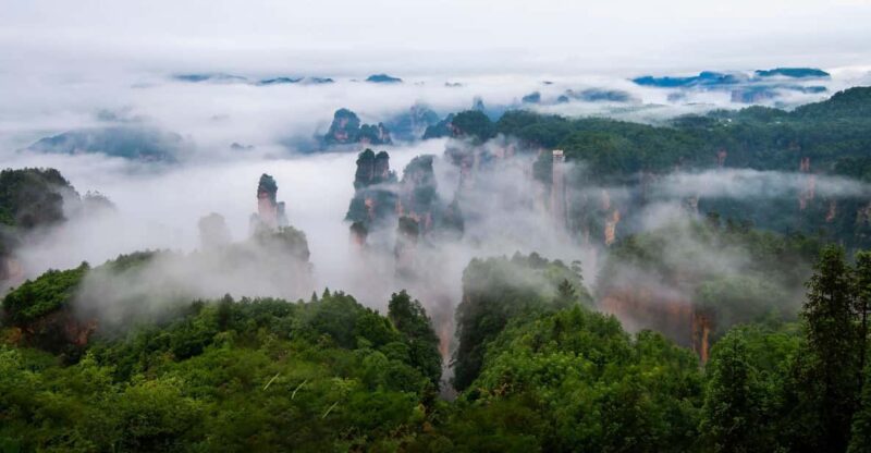 One Day Zhangjiajie National Forest Park Package Tour - Inclusions