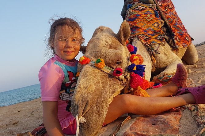 One Hour Camel Ride at Amazing Desert With Transfer - Hurghada - Customer Ratings and Feedback