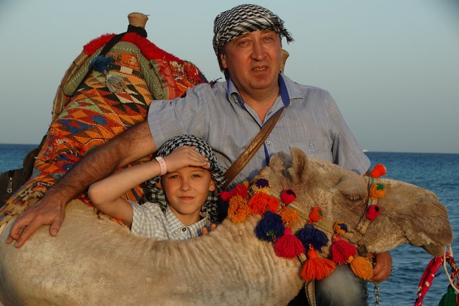 One Hour Camel Ride at Amazing Desert With Transfer - Hurghada - Animal Welfare and Service Quality