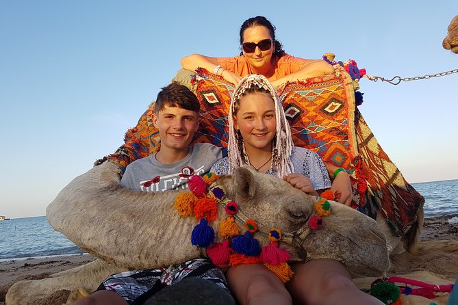 One Hour Camel Ride at Amazing Desert With Transfer - Hurghada - Booking Details and Follow-up