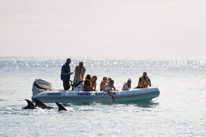 One Hour Cathedral Cove Boat Tour in Hahei - Scenic Coastal Cruising