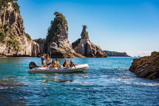 One Hour Cathedral Cove Boat Tour in Hahei - Small Group Adventure