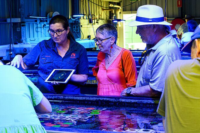 One Hour Coral Farm Tour, Discover Australia's Marine Life - Who Should Book This Tour?