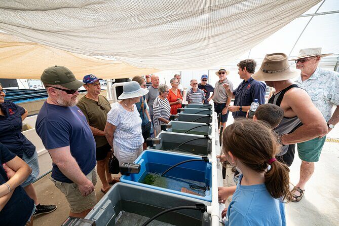 One Hour Coral Farm Tour, Discover Australia's Marine Life - Frequently Asked Questions