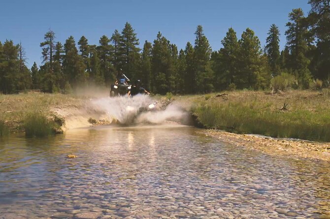 One Hour Guided ATV Ride in Utah - Accessing Scenic Viewpoints
