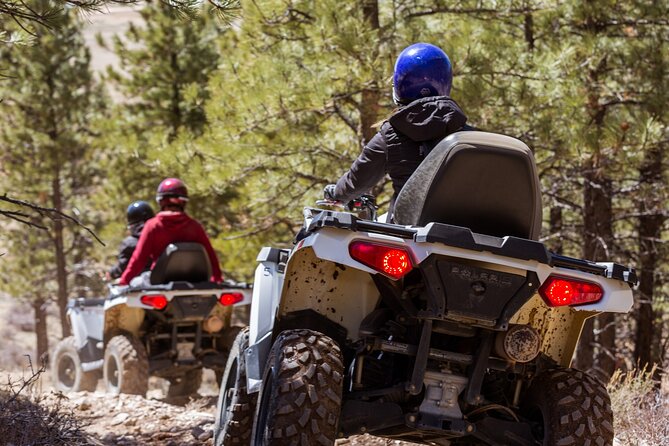 One Hour Guided ATV Ride in Utah - Small Group Experiences