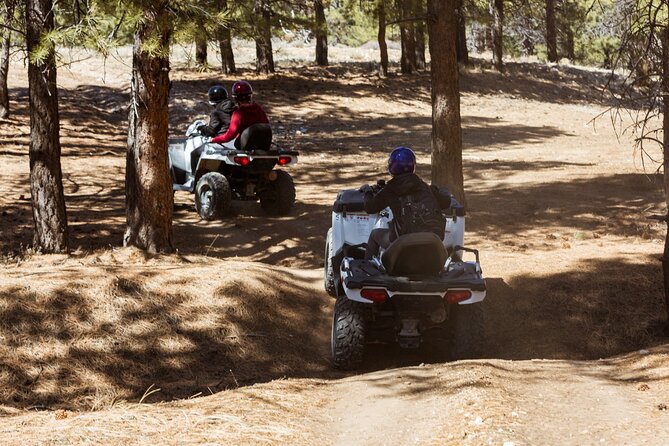 One Hour Guided ATV Ride in Utah - What to Expect on the Tour